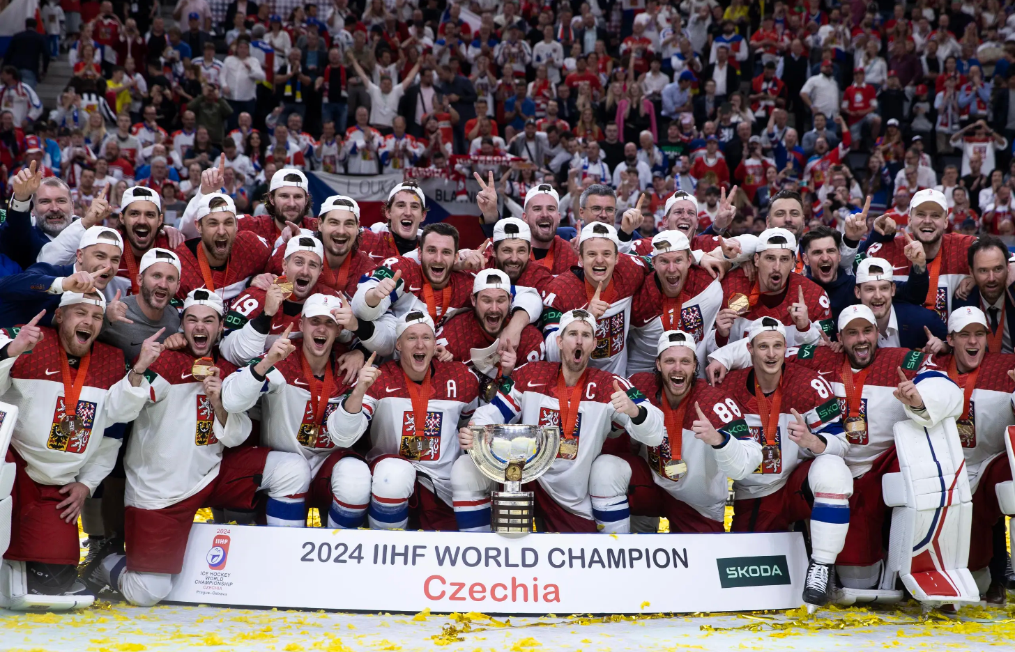 Přečtete si více ze článku WC 2024: (10) Final SUI – CZE 0:2